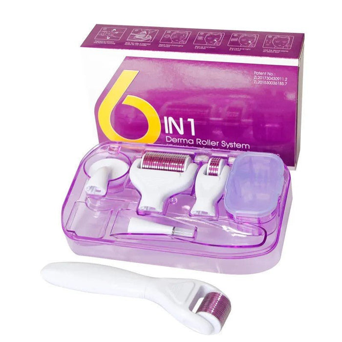 6 in 1 Derma Roller Kit, Cosmetic Micro-Needling Instrument Skin Care Tool - Battery Mate